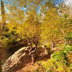 Kybele Nature Life Bed & Breakfast *
