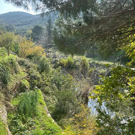 Kybele Nature Life Edremit (Balikesir)