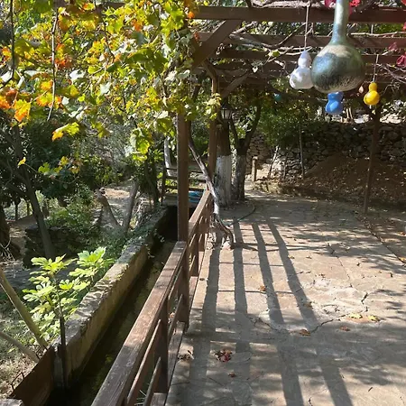 Kybele Nature Life *