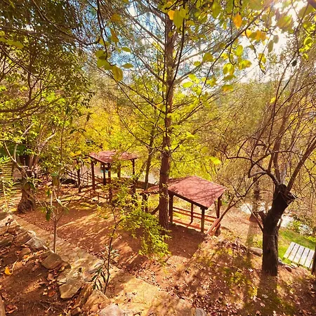 Kybele Nature Life