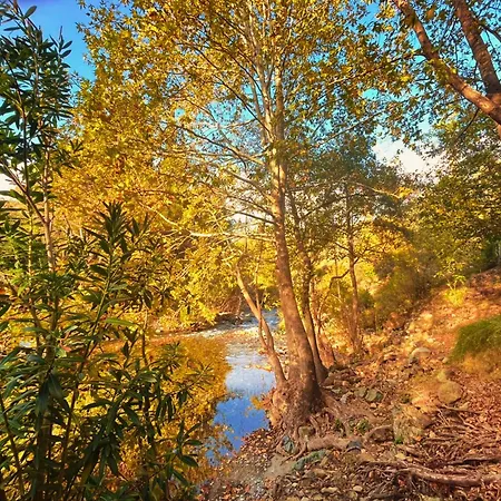 Kybele Nature Life