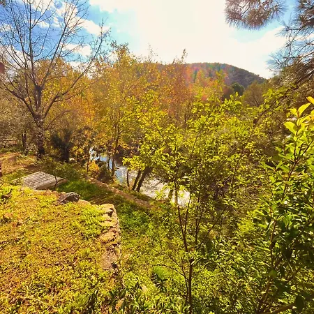 Alojamento de Acomodação e Pequeno-almoço Kybele Nature Life Edremit (Balikesir)