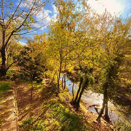 Kybele Nature Life