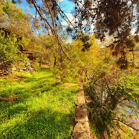 Kybele Nature Life
