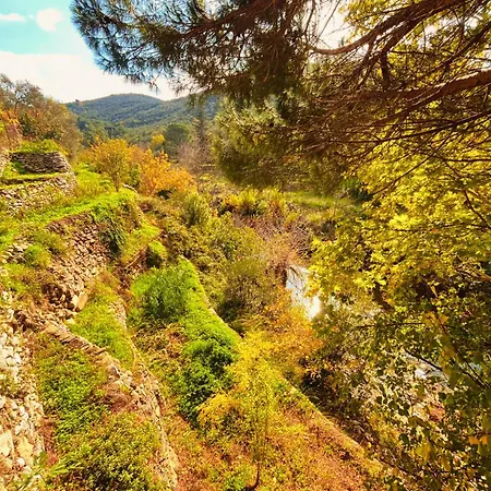 Kybele Nature Life