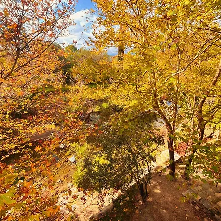 Kybele Nature Life Couette-café Edremit (Balikesir)