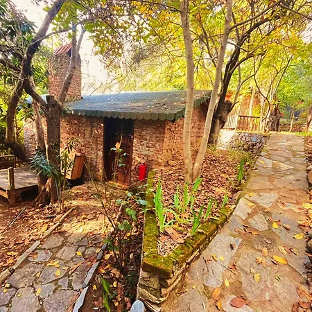 Couette-café Kybele Nature Life *