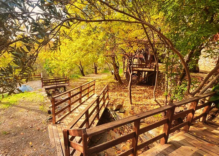 Kybele Nature Life Couette-café *