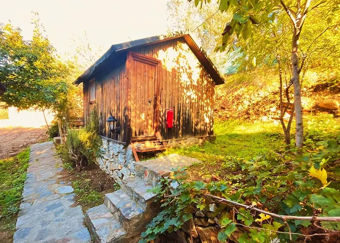 Kybele Nature Life *