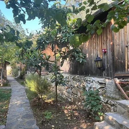 Bed and Breakfast Kybele Nature Life *