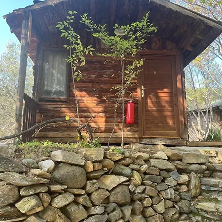 Kybele Nature Life * Αδραμύττιο