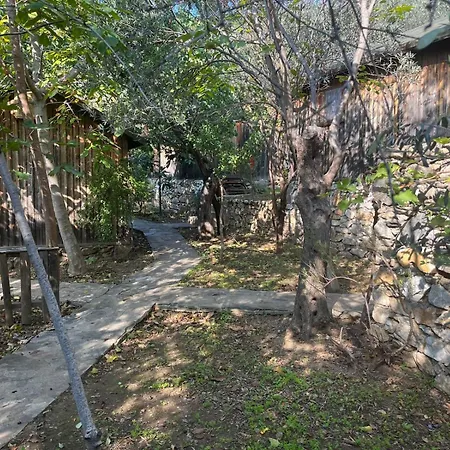 Bed & Breakfast Kybele Nature Life Edremit (Balikesir)