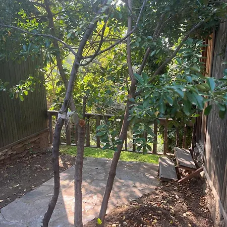 Kybele Nature Life *