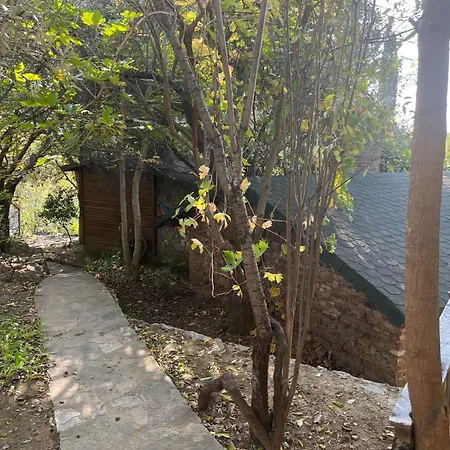 Kybele Nature Life Bed and Breakfast Αδραμύττιο