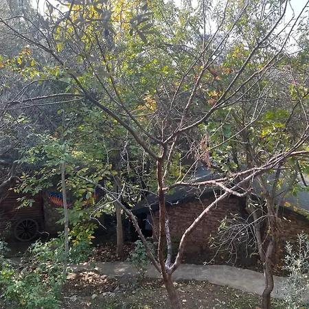 Kybele Nature Life Bed and Breakfast *