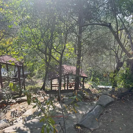 Kybele Nature Life *