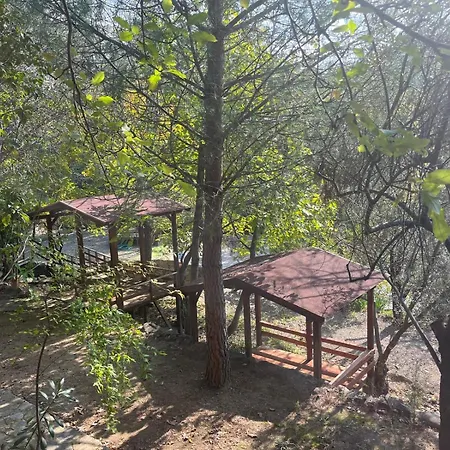 Kybele Nature Life *