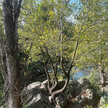 Bed and Breakfast Kybele Nature Life Αδραμύττιο