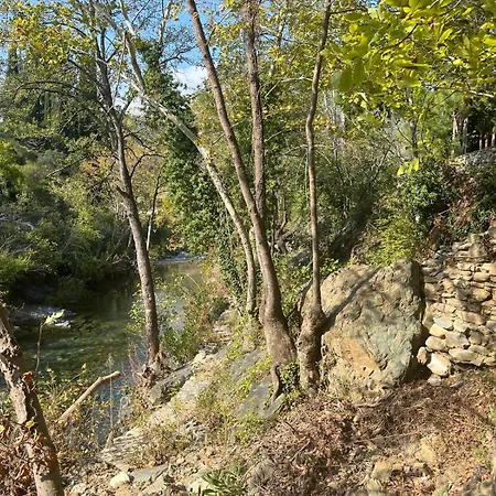 Kybele Nature Life *