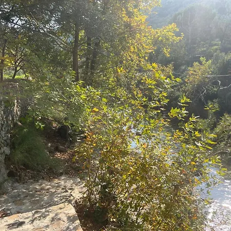 Kybele Nature Life Bed and Breakfast *