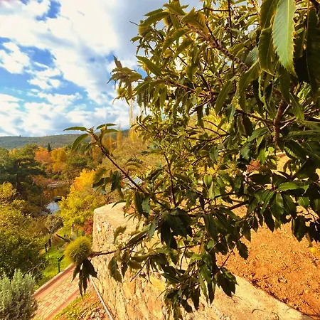 Kybele Nature Life