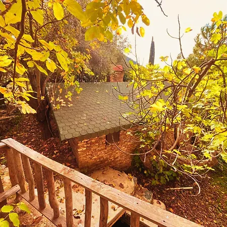 Kybele Nature Life *