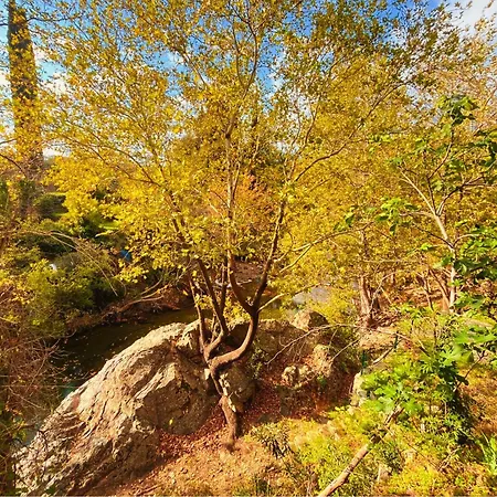 Kybele Nature Life Bed & Breakfast *