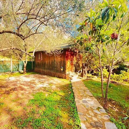 Alojamento de Acomodação e Pequeno-almoço Kybele Nature Life Edremit (Balikesir)