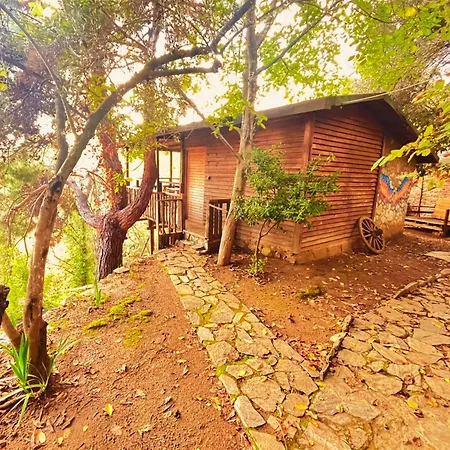 Kybele Nature Life Αδραμύττιο