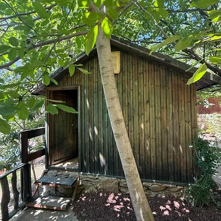 Alojamento de Acomodação e Pequeno-almoço Kybele Nature Life Edremit (Balikesir)